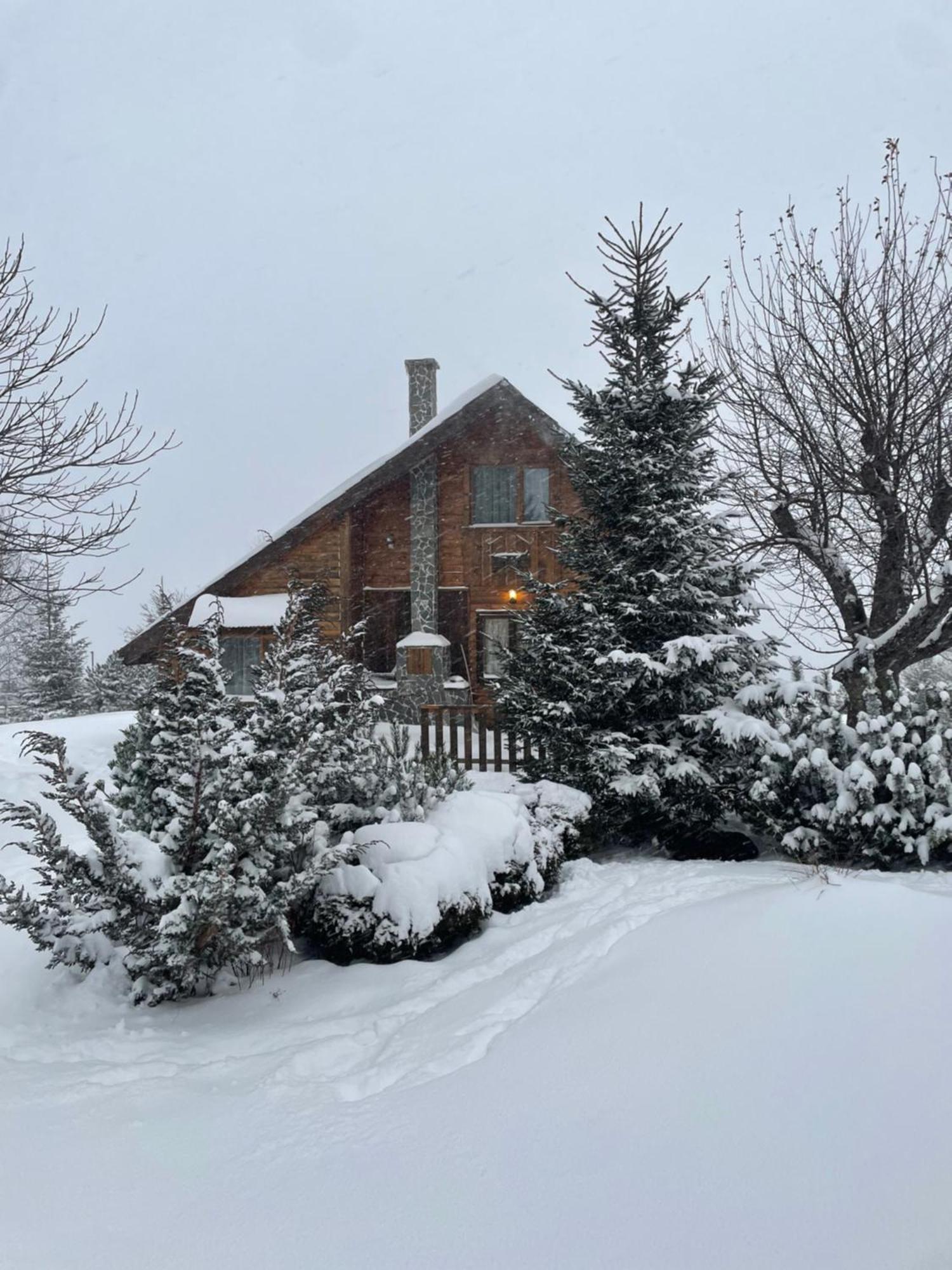 Peştera Chalet Ro מראה חיצוני תמונה