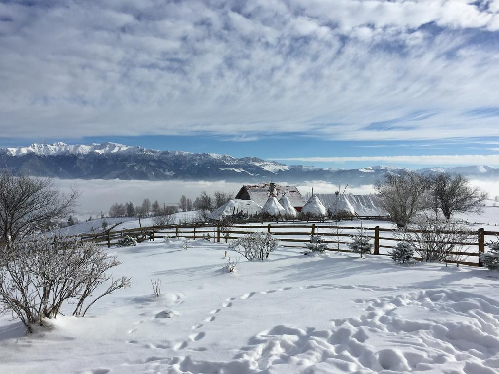 Peştera Chalet Ro מראה חיצוני תמונה